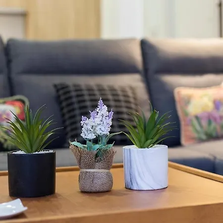 Allo Morenos Vi Apartman *